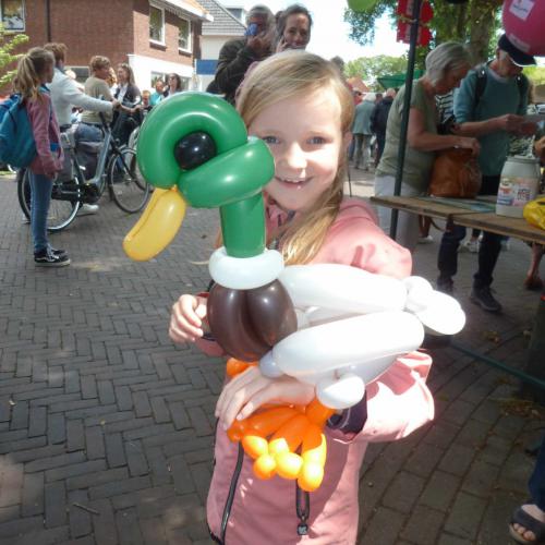 Braderie - Mannetjeseend