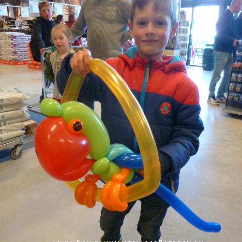 Welkoop - papegaai op stok