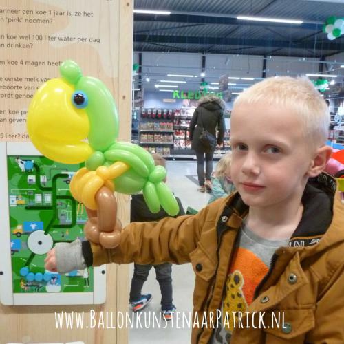 Welkoop - groene papegaai