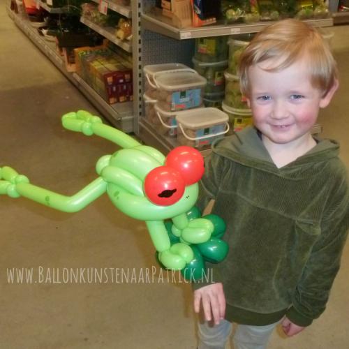 Welkoop - boomkikker