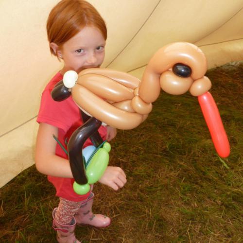 Steltloper bij Dutch Bird Fair