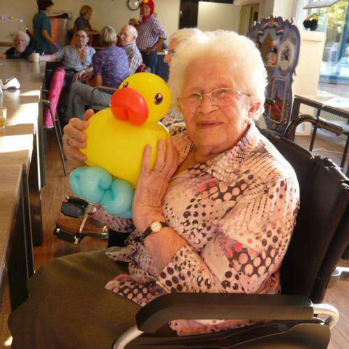 Ziekenhuis-Zorginstelling