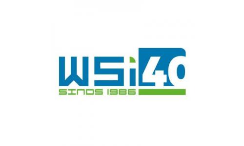Logo WSi Techniek Groenlo