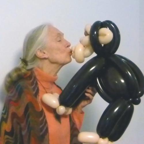 Nee Jane, deze is niet echt!