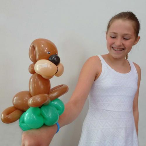 Zeeleeuw - tijdens de draaidagen van Finding Dory