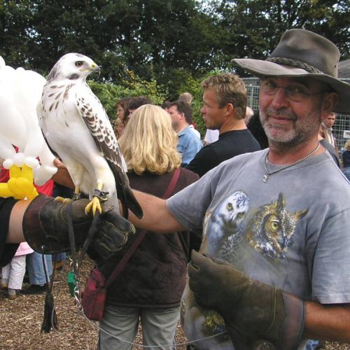 Roofvogel bij de dierentuin