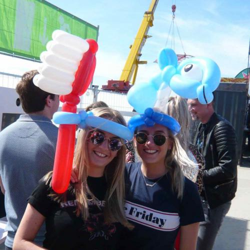 Beach festival - tandenborstel en dolfijn